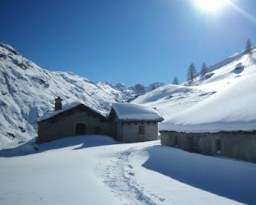 ALPE STARNAM