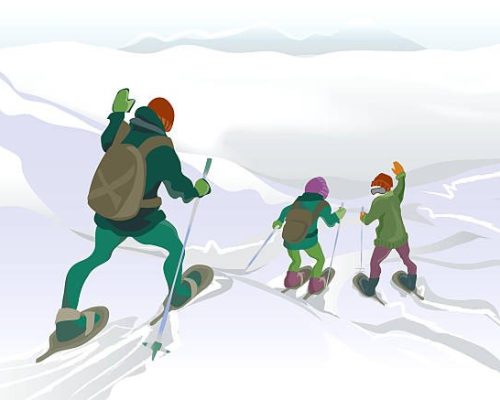 Ciaspole_Disegno_Generale_Mod