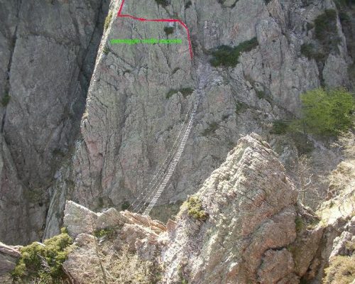 FOTO ARTISTI