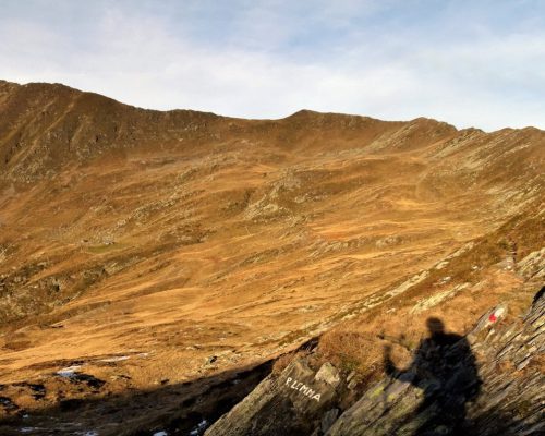 PASSO DI LEMMA PASSO DI LEMMA