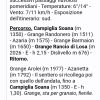 Screenshot_AZARIA_Locandina